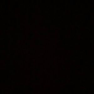 Meet your Posher, Lily